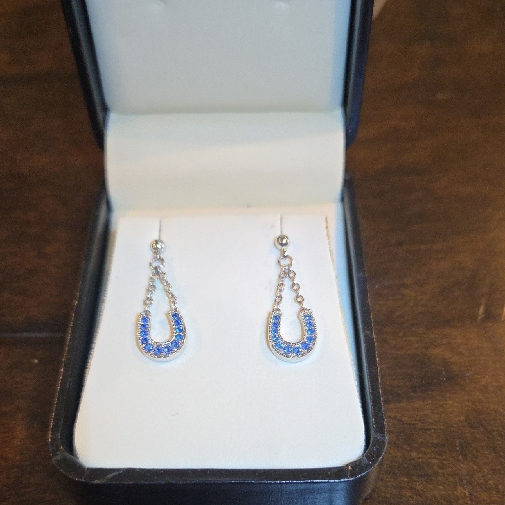 Elegant Silver and Blue Drop Earrings